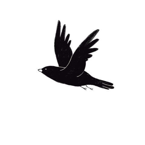 Bird 3.gif