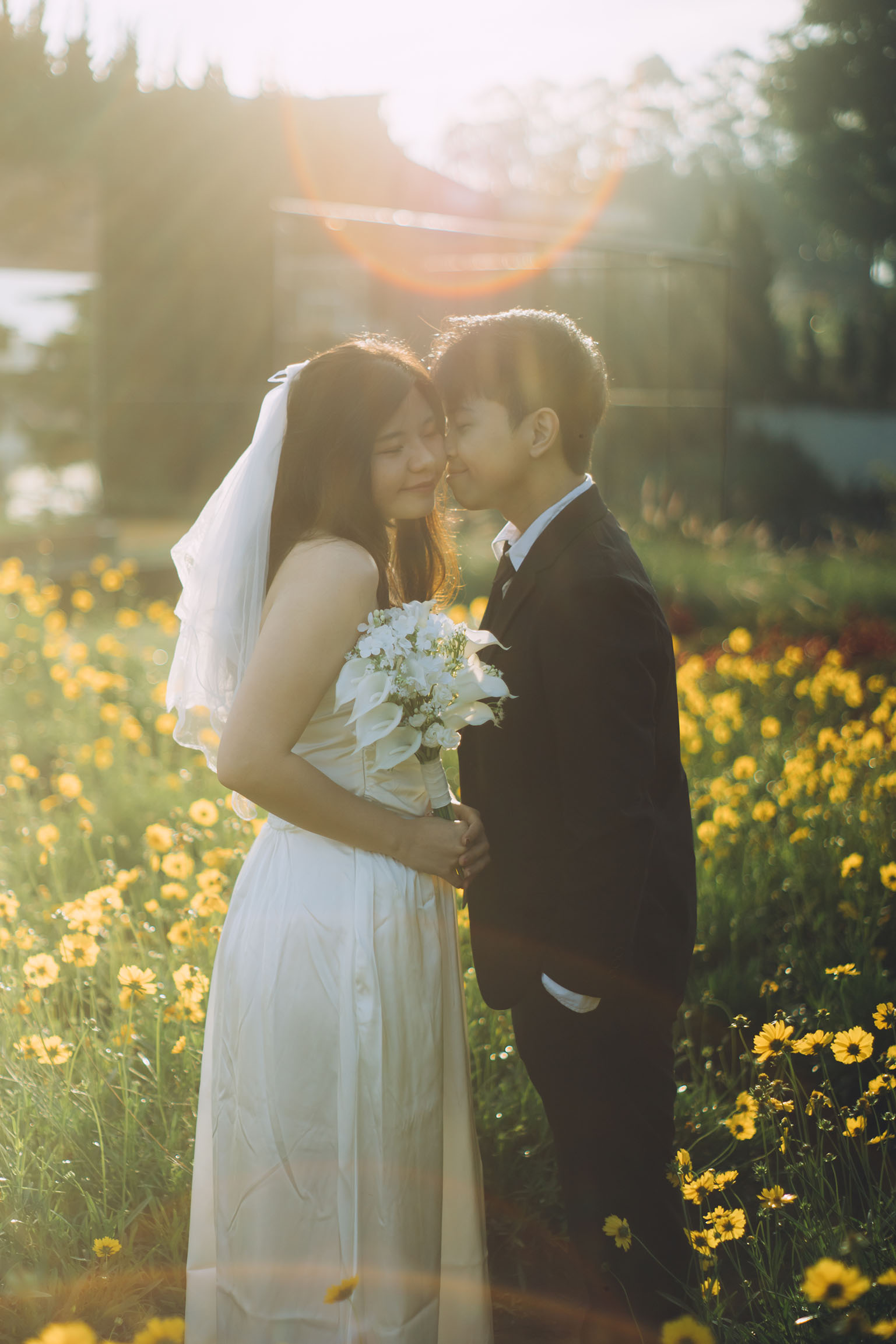 Timothy & phoebe holy matrimony